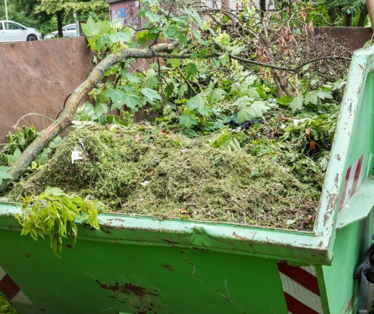 Ajouter un titre 2 768x644