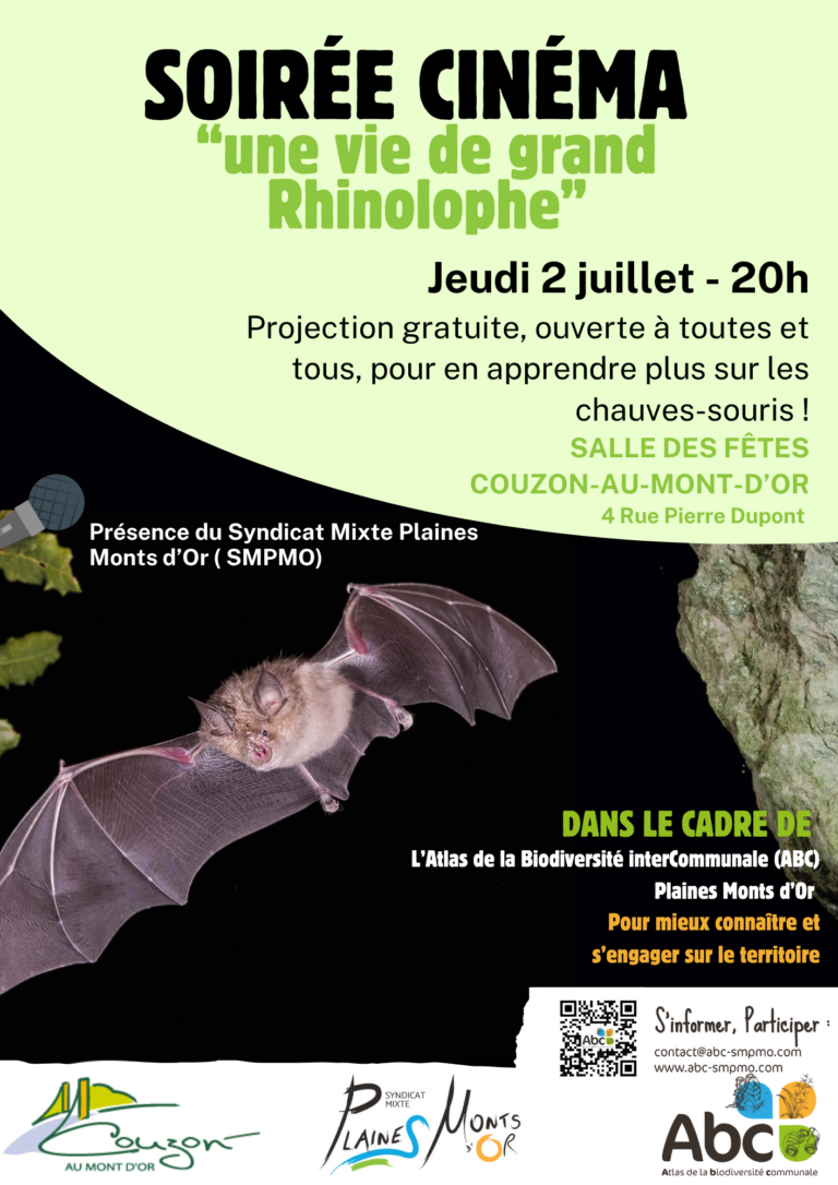20260702 chiroptere couzon 1 768x1086
