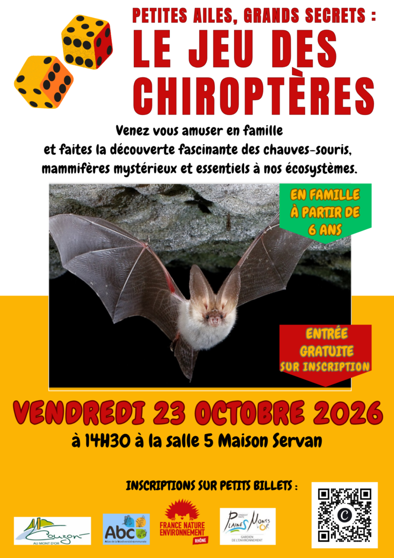 Jeu des chiropteres 1 768x1086